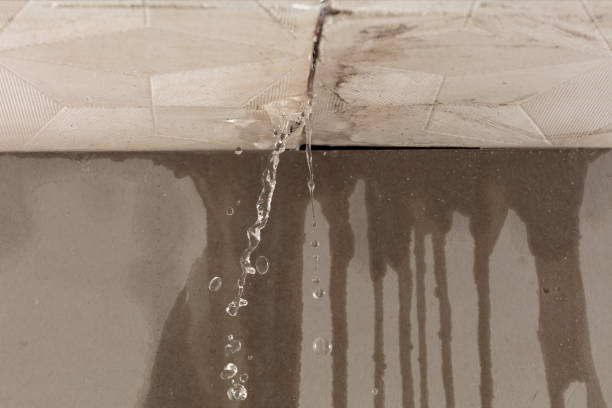 Professional Water Damage Inspection technician working in Pine Grove, WV